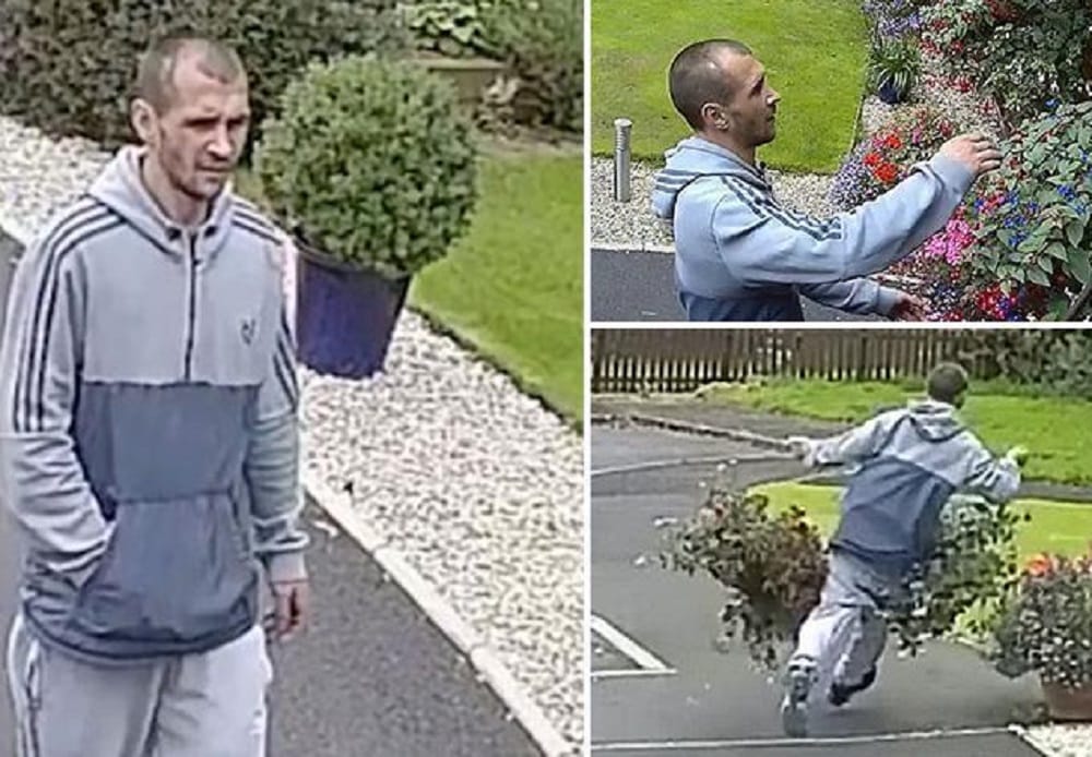 watch the world most pointless theft spotted stealing two worthless flower pots 