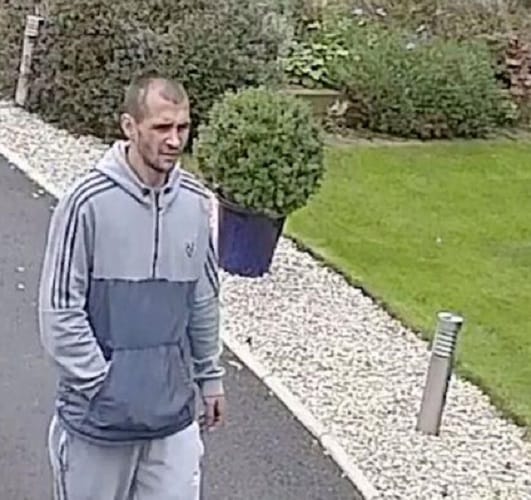 watch the world most pointless theft spotted stealing two worthless flower pots 