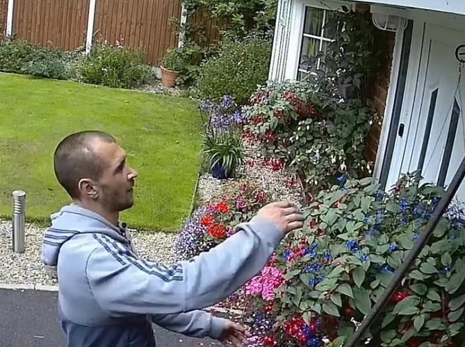 watch the world most pointless theft spotted stealing two worthless flower pots 
