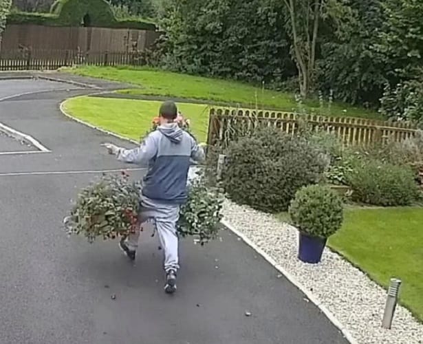 watch the world most pointless theft spotted stealing two worthless flower pots 