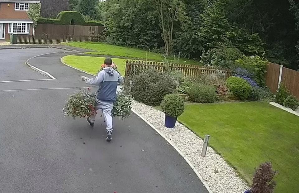 watch the world most pointless theft spotted stealing two worthless flower pots 