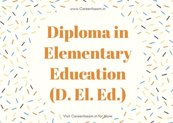 D.l.ed applicants is eligible for TET 2017 exam