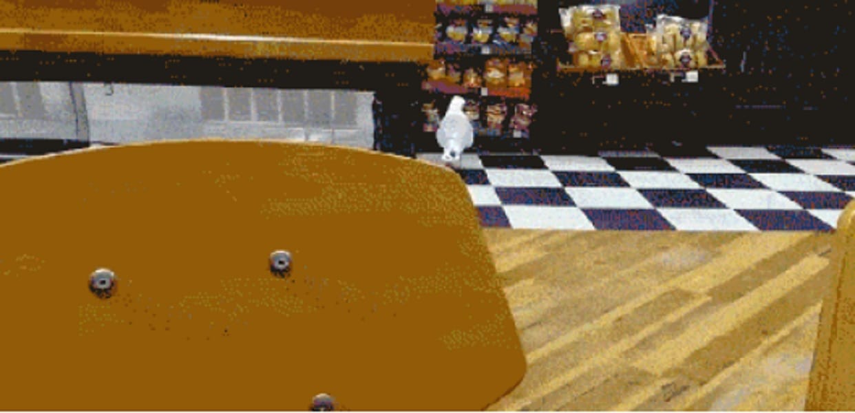 Hilarious moment a shoplifting seagull steals a bag of Walkers crisps watch video 