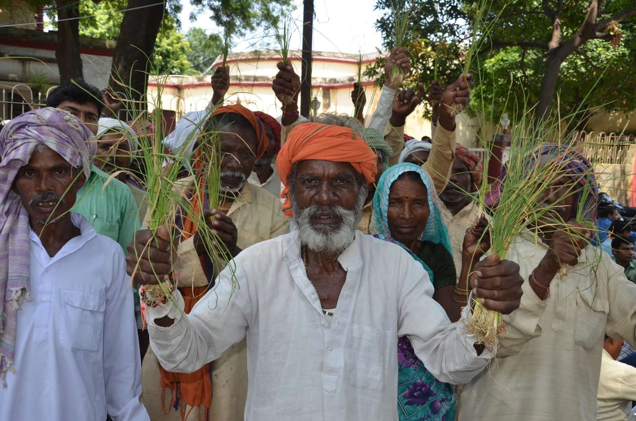 Drying paddy, farmers reach collectorate