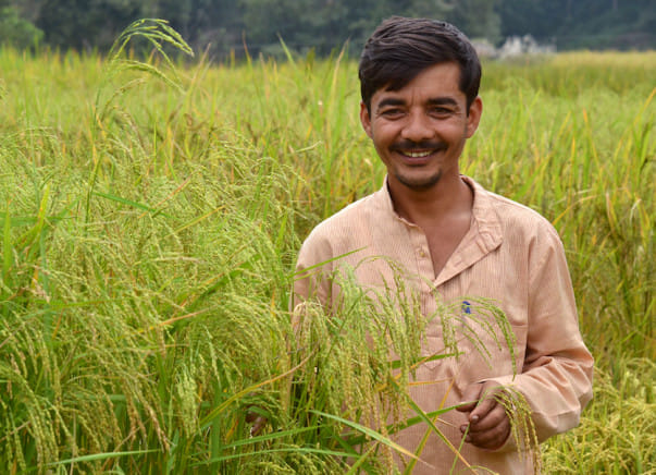 syed ghani khan conserving 800 indigenous paddy varieties