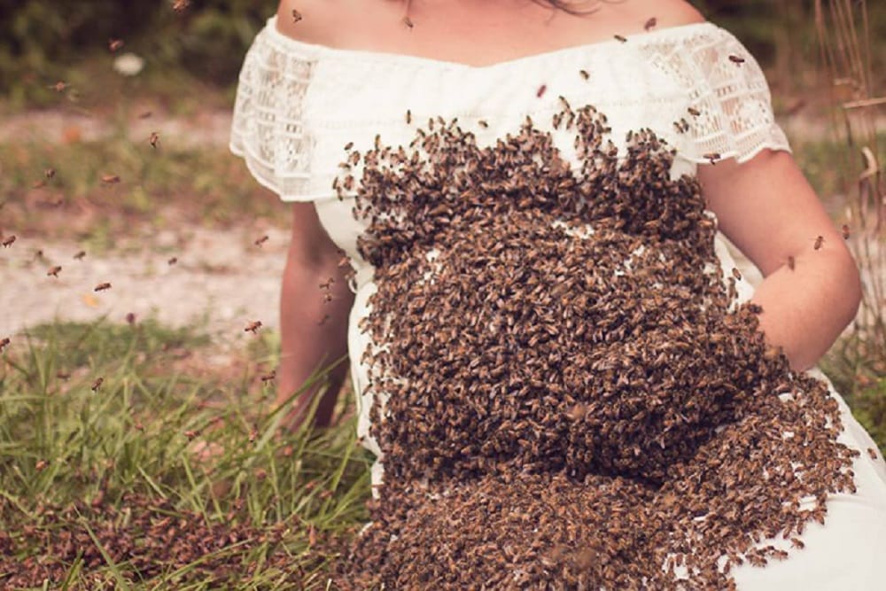 Pregnant mother weird maternity photo shoot with honey bees
