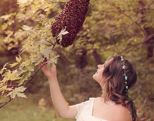 Pregnant mother weird maternity photo shoot with honey bees