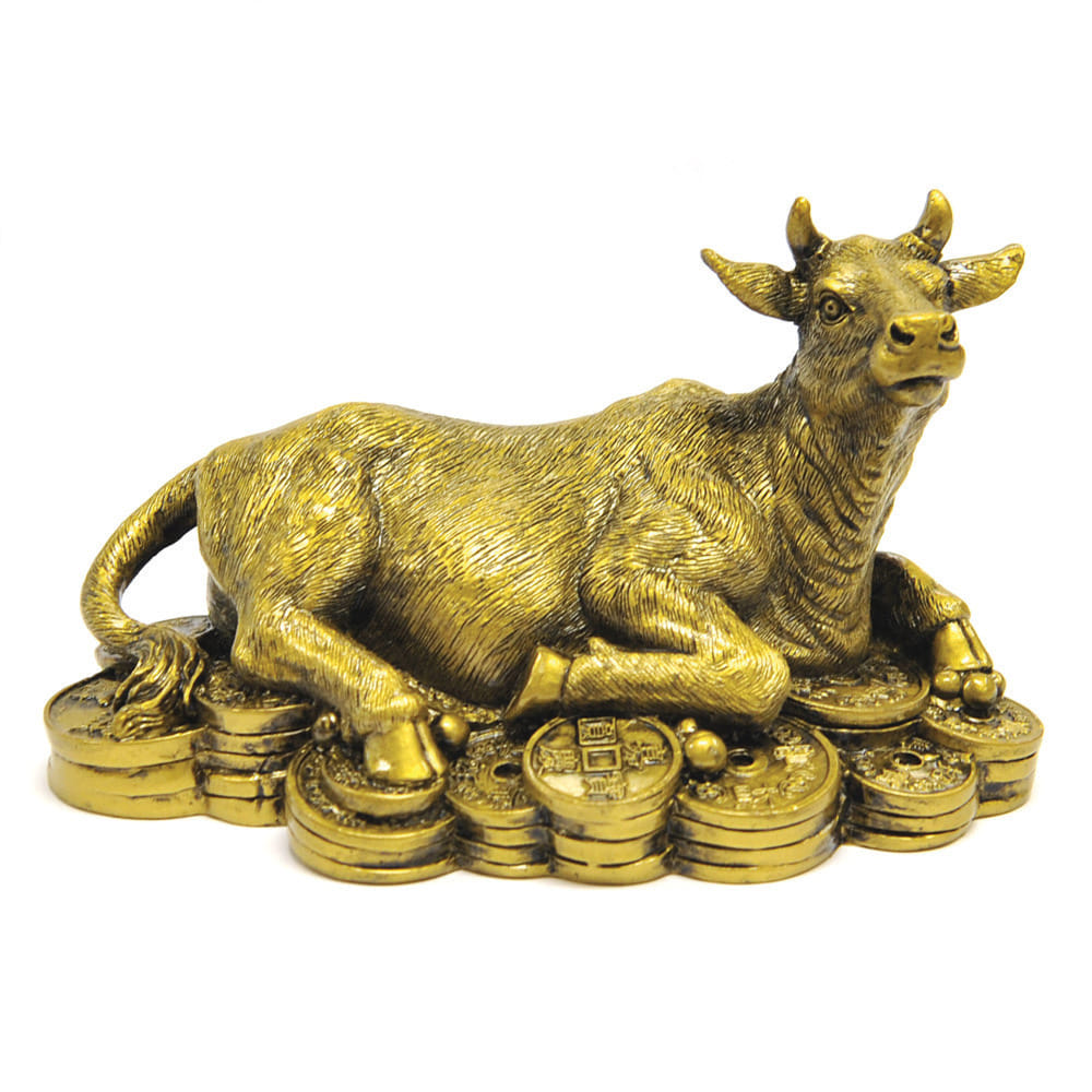  according to vastu shastra keep these things at your shop for wealth