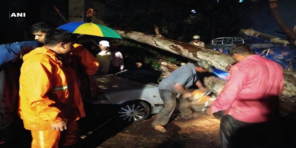 Three people died after a tree fell on car in Bengaluru