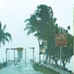 अमेरिका के फ्लोरिडा में फंसे वेस्ट यूपी के कई परिवार