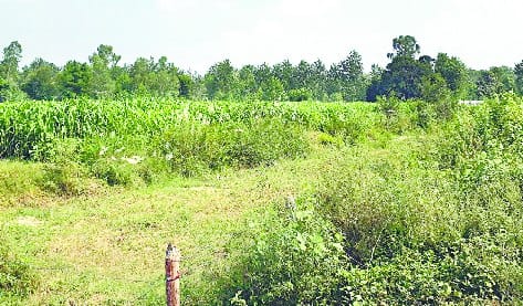 ramgang river and plot