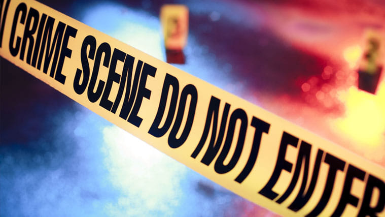 8 months and 54 Murder, how to make the district Death Zone