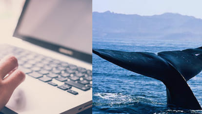 trap of Blue Whale Game true story of kanpur student