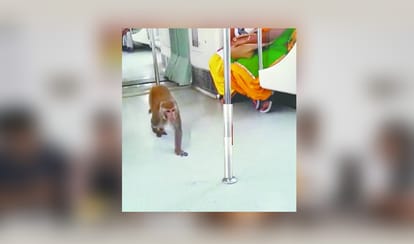 monkey enter into metro train  video gone viral