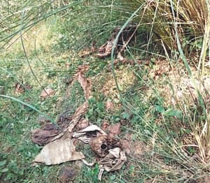 skeleton of jeweller found