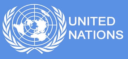 India concerned about illegal migrants India's Permanent Rep to UN