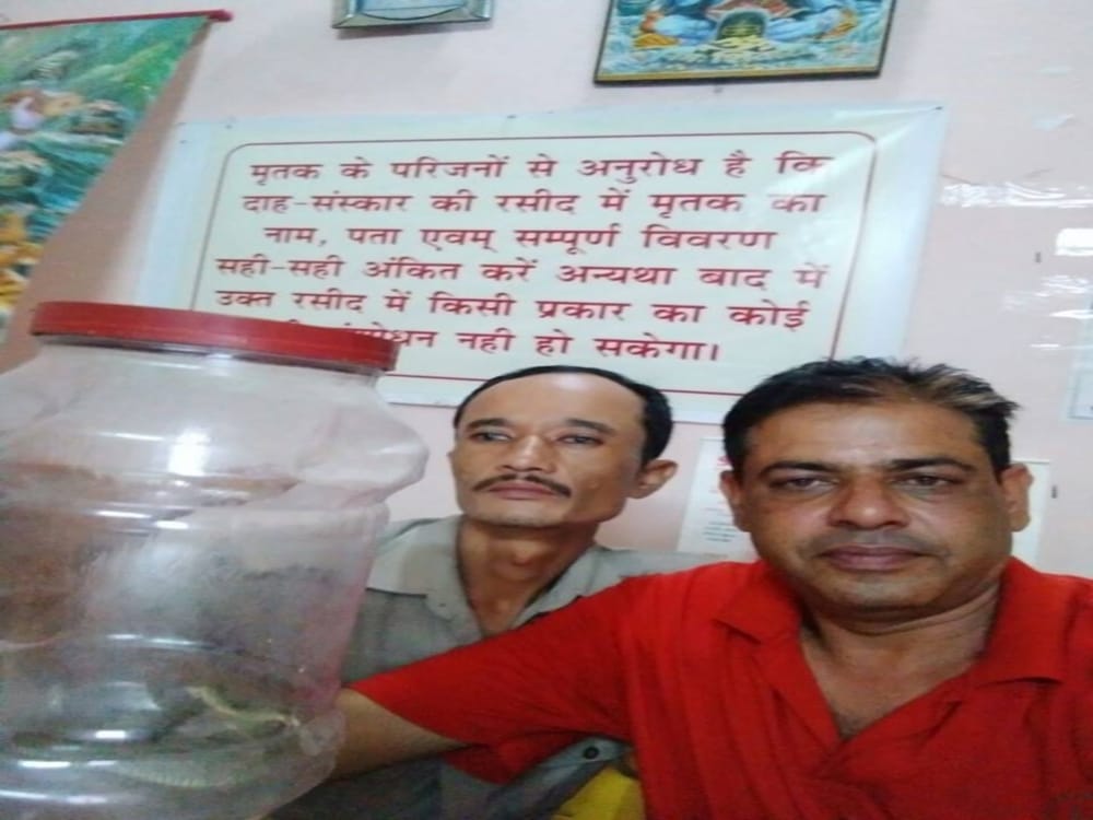 snake found during funeral in dehradun shamshan ghat