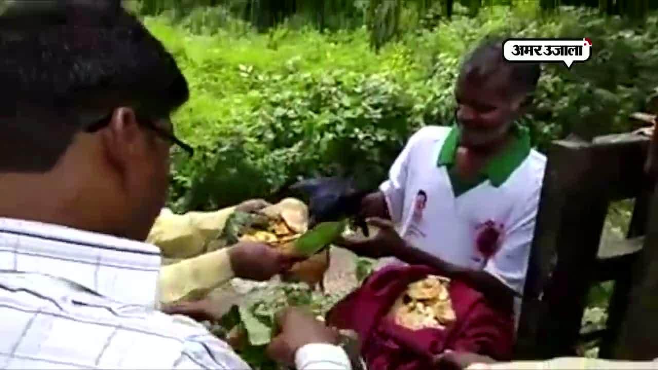 श्राद्ध पक्ष 