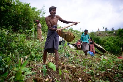 rohingya refugees real life stories