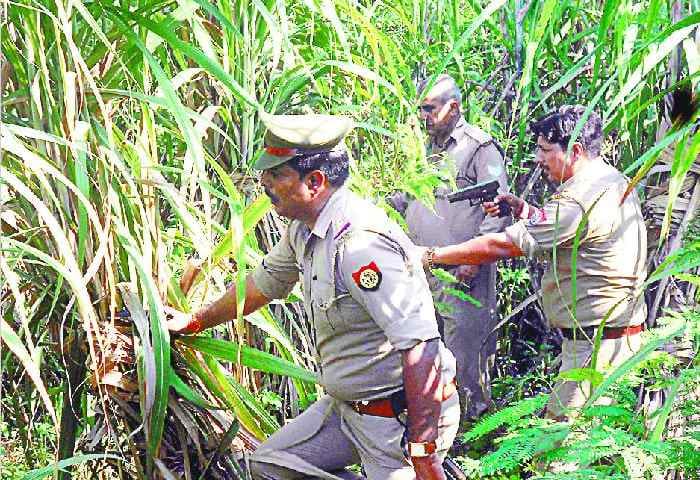 Arrest in the encounter