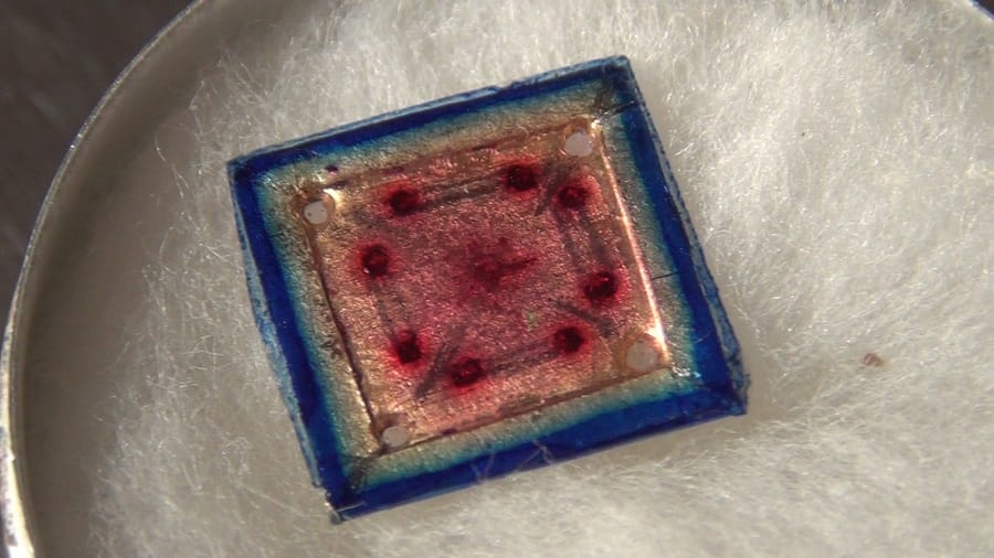 The world's smallest golden carrom, unique strickers