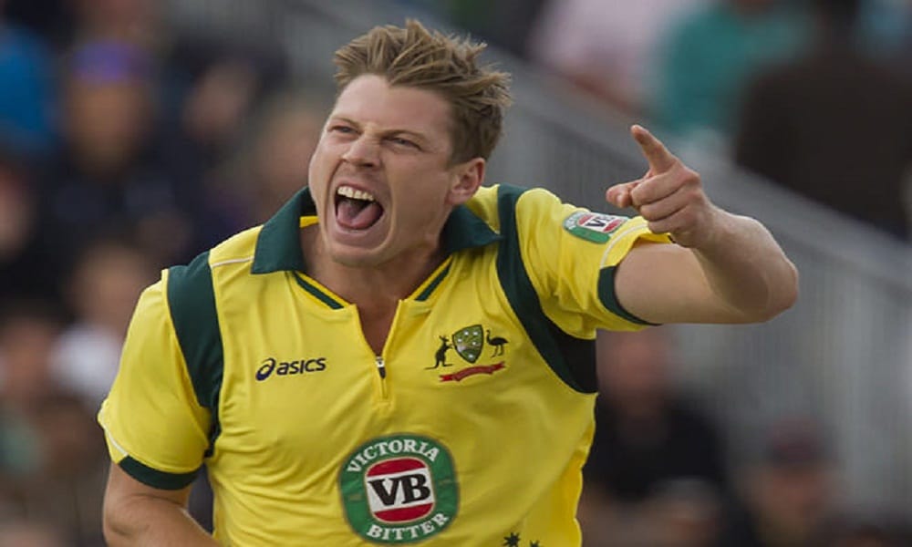 Ind Vs Aus: big statement given by Australian player james faulkner for series