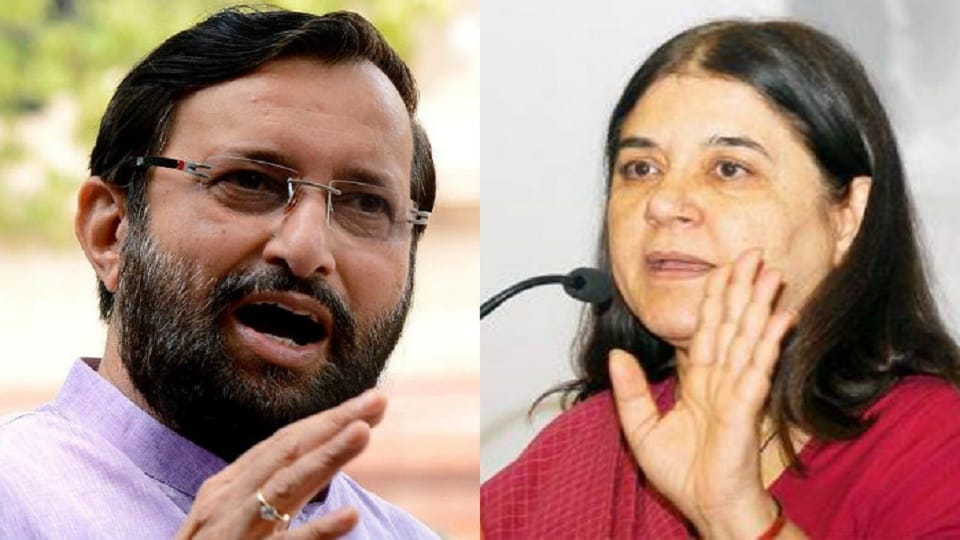 Ryan Murder case: Maneka Gandhi and Prakash Javadekar to Hold High-Level Meet Tomorrow