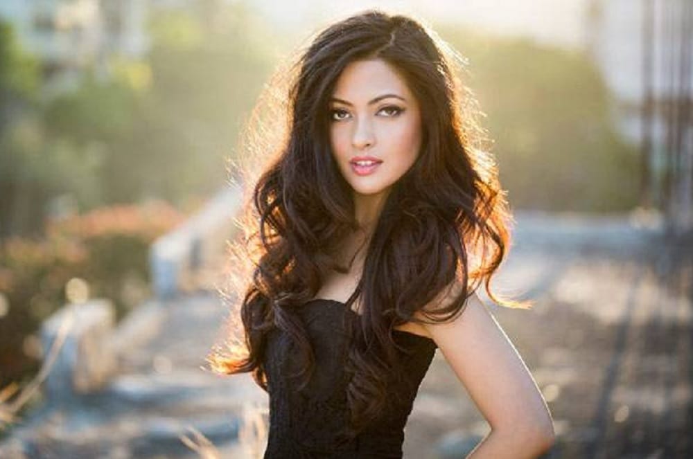 riya sen's dog found in noida