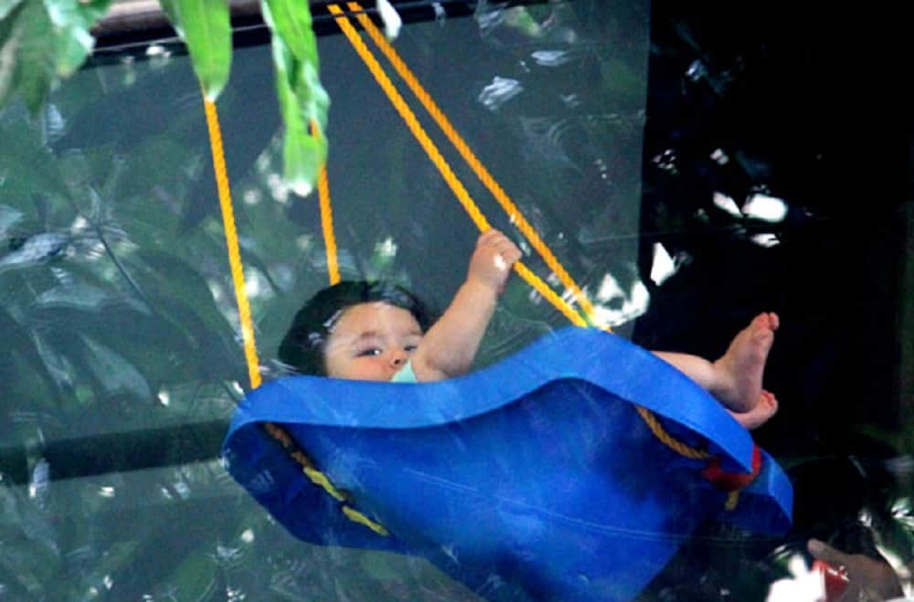 Taimur Ali Khan will swing right into your heart with his latest adorable pictures