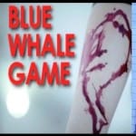Himachal Shimla Theog 11 year-old Amit suicide linked to Blue Whale Challenge