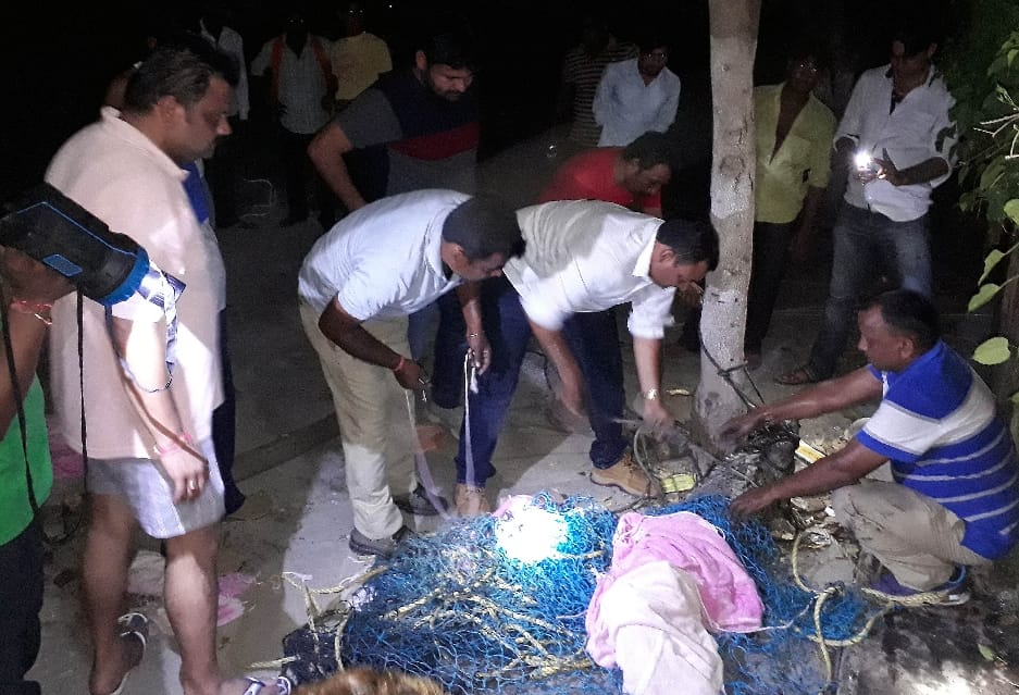 crocodile found in haridwar colony 
