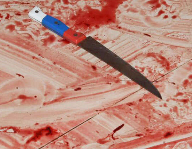 hisar boy killed wife on refusal to marry