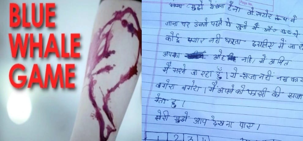 Himachal Shimla Theog 11 year-old Amit suicide linked to Blue Whale Challenge