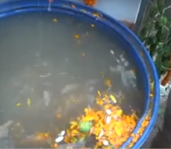 mysterious stone of Ram Setu found in uttarakhand