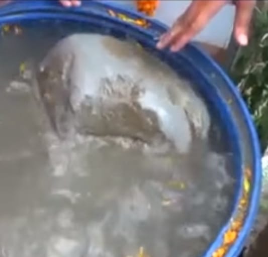 mysterious stone of Ram Setu found in uttarakhand