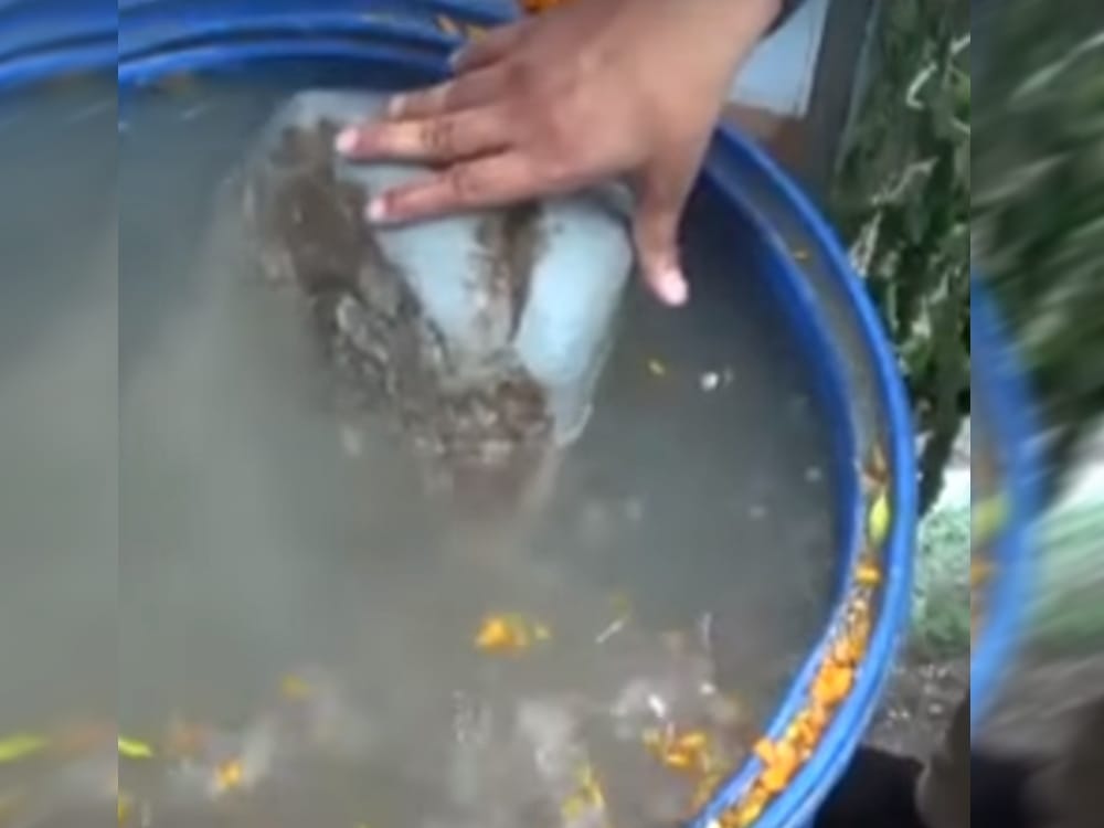 ram setu stone mystery shocked peoples