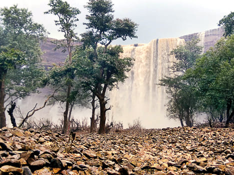 Jupiter Kunda sparks amazing shade of natural beauty
