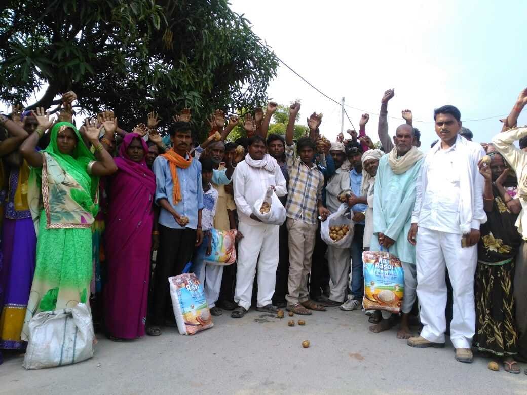 Demonstration of rotting potatoes in rural areas