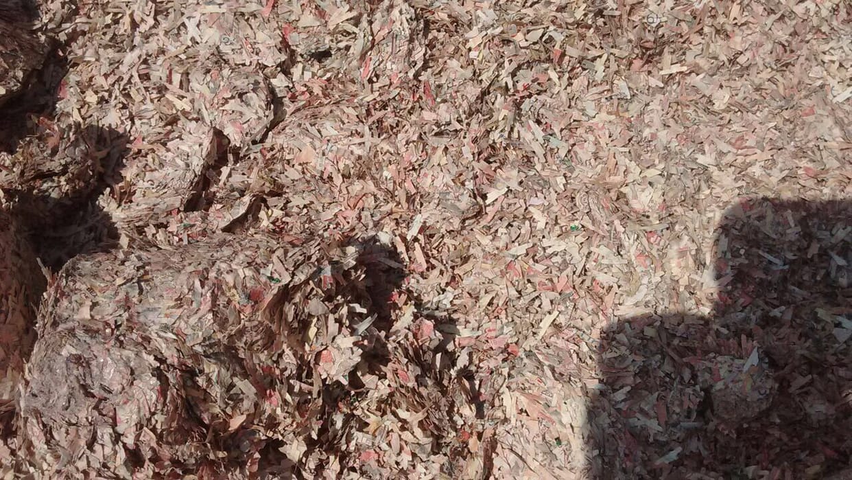 Shredded currency notes found in Jammu Kashmir