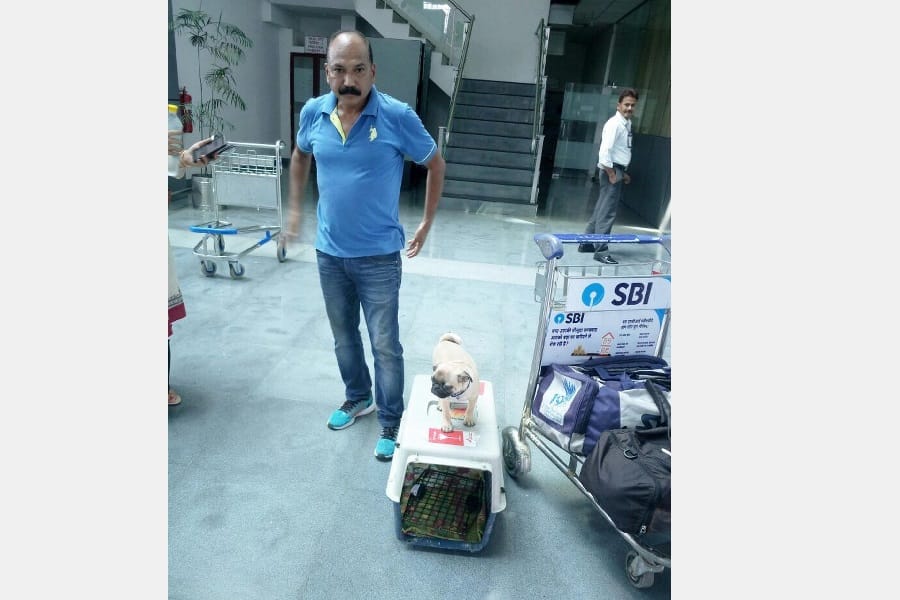 Pilot removes passenger from flight due to pet dog
