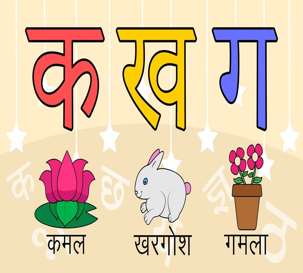 Hindi Hai Hum: Today was celebrated for the first time in World Hindi Day, Nagpur