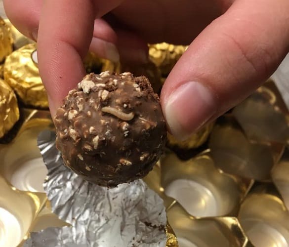  Woman Finds Maggots Wriggling Inside Chocolate