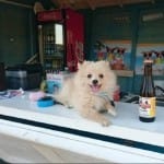 Dog Bar