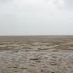 इरमा तूफान