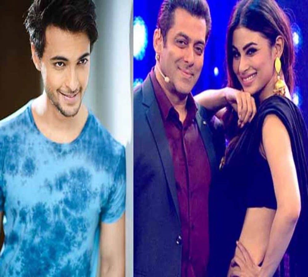 Salman Khan brother-in-law Aayush Sharma doesnt want to romance actress Mouni Roy
