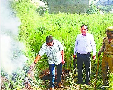 SDM destroyed farmland of cane farm