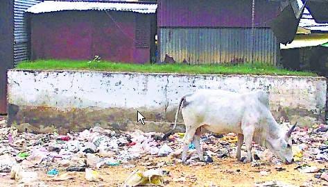 मेला मैदान में रामलीला कराने को लेकर उतरे हिंदू संगठन