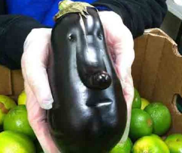 vegetables that look like totally different