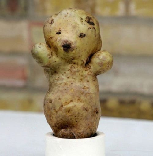 vegetables that look like totally different