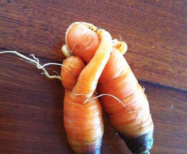 vegetables that look like totally different
